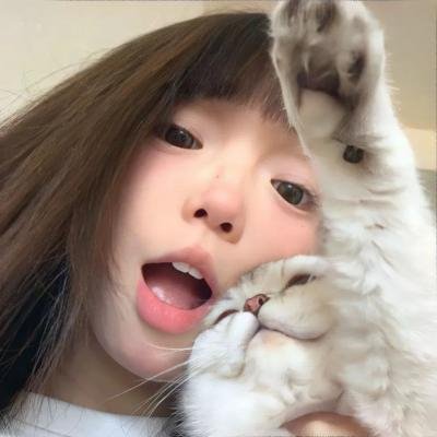 流氓督察