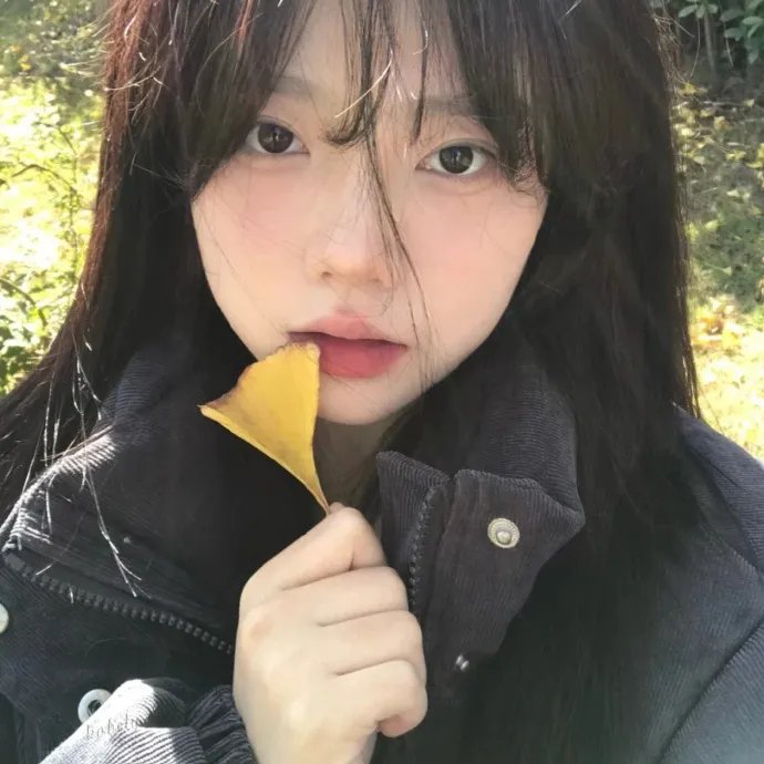 动漫动画